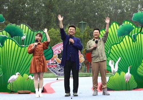 戈雅最新皮肤爆料视频,神秘面纱下的华丽蜕变